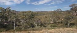 Dry eucalypt forest NSW from train